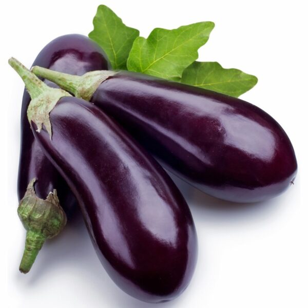 Fresh Eggplant (Brinjal)